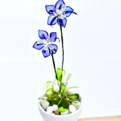 kaikaikiki 宋李嵩「花籃」へのオマージュ Encore2 - Album by Yoshie Kashiwabara