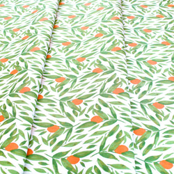 カットクロス Windham Fabrics Cora 52362-1 Kumquats White 4枚目の画像