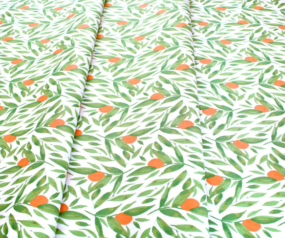 カットクロス Windham Fabrics Cora 52362-1 Kumquats White 4枚目の画像