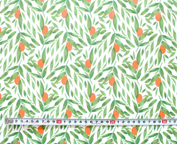 カットクロス Windham Fabrics Cora 52362-1 Kumquats White 3枚目の画像