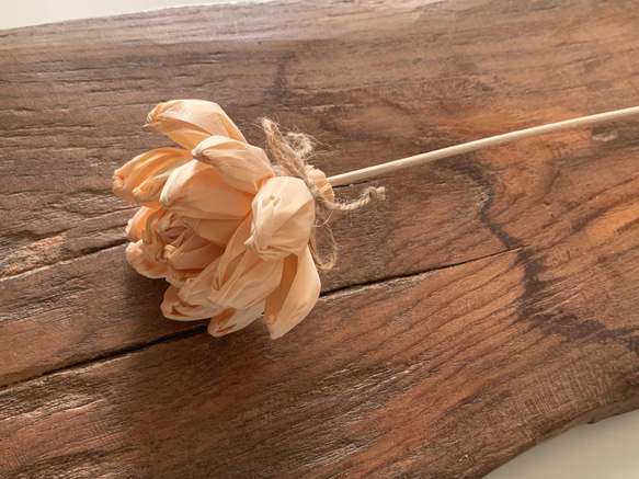 【リードスティック】香りを楽しむひのきのお花 ルームディフューザー アートフラワー 天然素材 エコなインテリア雑貨　蓮 1枚目の画像
