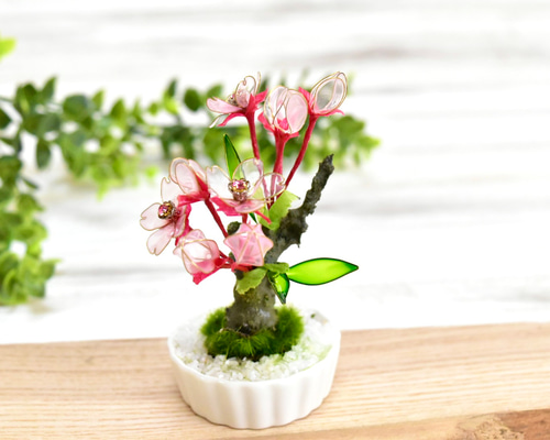 603c5f95e4b7375d5f1c26892d2445