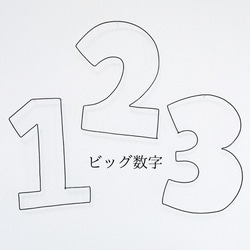 誕生日　飾り　ワイヤークラフト　ワイヤーアート　ハーフバースデー　バースデーフォト　お花　フラワー　女の子　風船 19枚目の画像