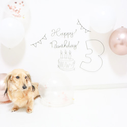 誕生日　飾り　ワイヤークラフト　ワイヤーアート　ハーフバースデー　バースデーフォト　お花　フラワー　女の子　風船 8枚目の画像