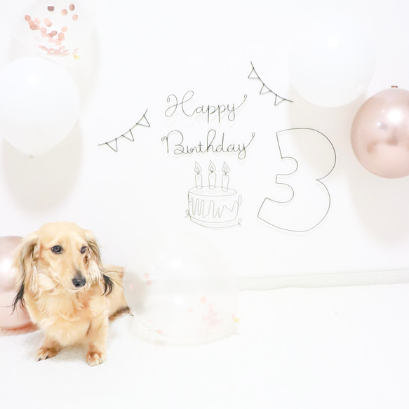 誕生日　飾り　ワイヤークラフト　ワイヤーアート　ハーフバースデー　バースデーフォト　お花　フラワー　女の子　風船 8枚目の画像