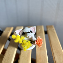 633074cf978004e20e62adbaf1c024