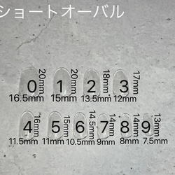 計測用ネイルチップ　＊送料無料＊ 5枚目の画像