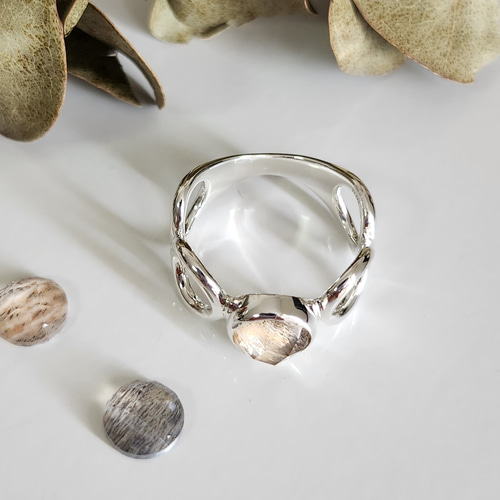 限定 【23体】 46周年記念 モンチッチ シルバーリングセット 3170 giv