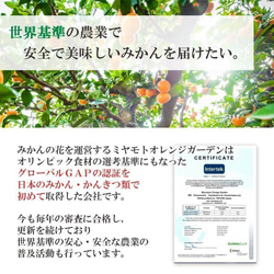 【送料無料】みかん寒天ゼリー お試し3種セット 100g×3本 メール便ポスト投函 13枚目の画像