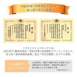 【送料無料】みかん寒天ゼリー お試し3種セット 100g×3本 メール便ポスト投函 14枚目の画像