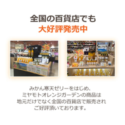 【送料無料】みかん寒天ゼリー お試し3種セット 100g×3本 メール便ポスト投函 10枚目の画像