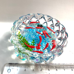 ☆スイスイ金魚ちゃん　限定カットガラス皿(受注生産) 2枚目の画像