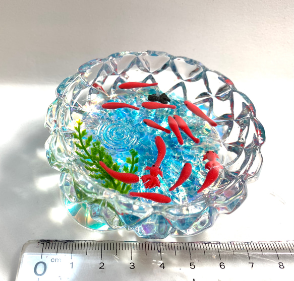 ☆スイスイ金魚ちゃん　限定カットガラス皿(受注生産) 2枚目の画像