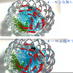 ☆スイスイ金魚ちゃん　限定カットガラス皿(受注生産) 5枚目の画像
