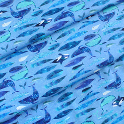 カットクロス Windham Fabrics Icy World Cetaceans Periwinkle 5枚目の画像