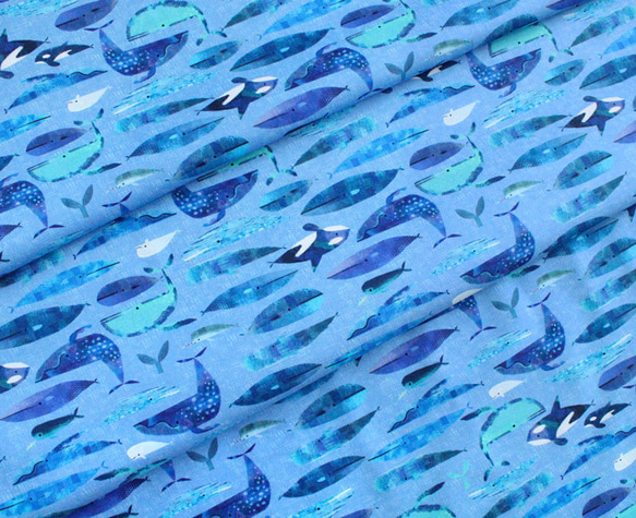 カットクロス Windham Fabrics Icy World Cetaceans Periwinkle 5枚目の画像