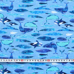カットクロス Windham Fabrics Icy World Cetaceans Periwinkle 3枚目の画像