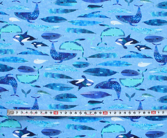 カットクロス Windham Fabrics Icy World Cetaceans Periwinkle 3枚目の画像