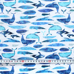 カットクロス Windham Fabrics Icy World 52970D-3 Cetaceans White 3枚目の画像