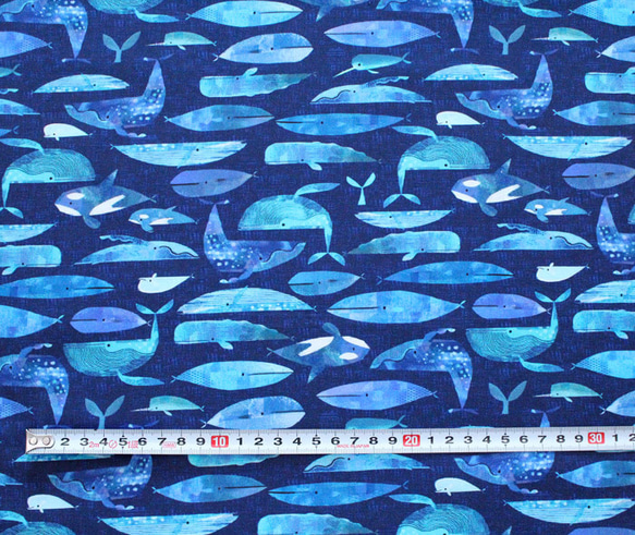 カットクロス Windham Fabrics Icy World 52970D-4 Cetaceans Navy 3枚目の画像