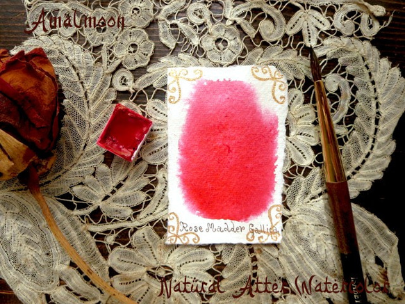 *♥香る水彩絵具 茜 Genuine Rose Madder Rubia Natural Watercolor♥* 1枚目の画像