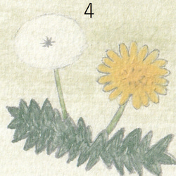 【日本画ポスター】サイズも選べる春の雑草　９選　なずな・たんぽぽ・クローバー・つくし・スギナ・いぬふぐり 7枚目の画像