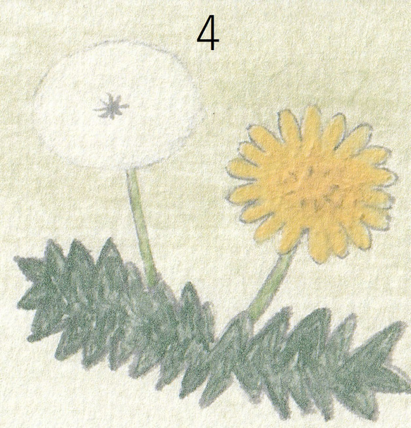 【日本画ポスター】サイズも選べる春の雑草　９選　なずな・たんぽぽ・クローバー・つくし・スギナ・いぬふぐり 7枚目の画像