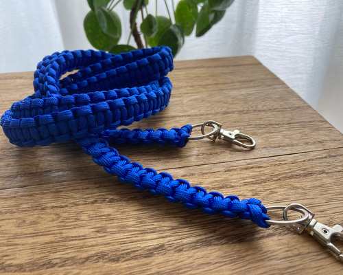 c3d09078eca3016abd25df56493317