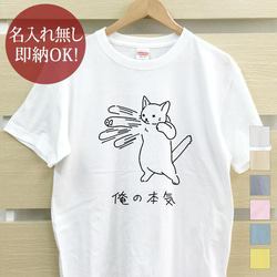 【全国送料無料】俺の本気 白猫 ネコパンチ レディース メンズ Tシャツ おもしろTシャツ 綿100% 選べるカラー7色 1枚目の画像