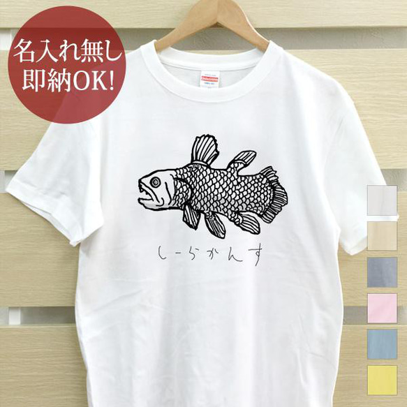 【全国送料無料】シーラカンス 古代魚 魚  レディース メンズ Tシャツ おもしろTシャツ 綿100% 選べるカラー7色 1枚目の画像