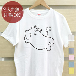 【全国送料無料】腹筋だいすき猫 レディース メンズ Tシャツ おもしろTシャツ 綿100% 選べるカラー7色 1枚目の画像