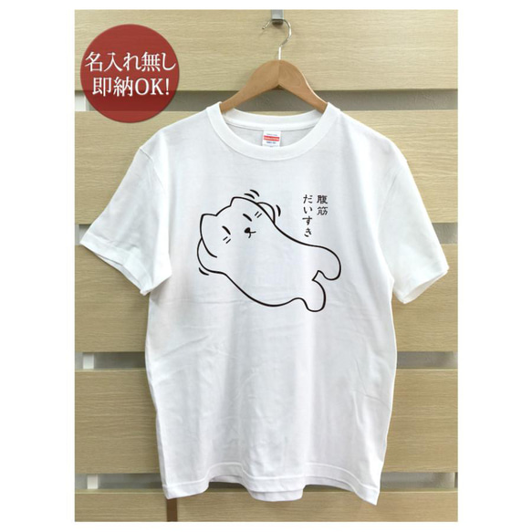 【全国送料無料】腹筋だいすき猫 レディース メンズ Tシャツ おもしろTシャツ 綿100% 選べるカラー7色 2枚目の画像