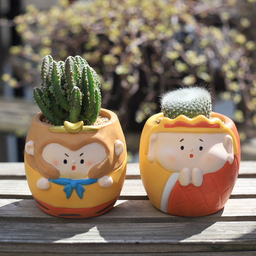 ミニキャラクター多肉植物植木鉢 【公式通販】