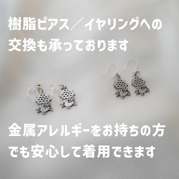 第3張的照片