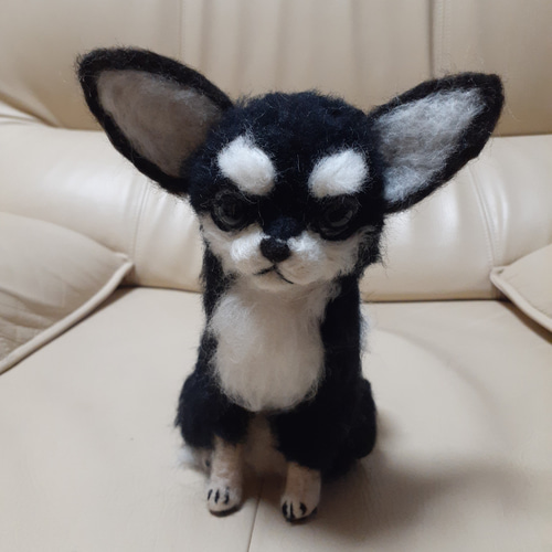 羊毛フェルト チワワ チョコタン チワワぬいぐるみ チワワ置物