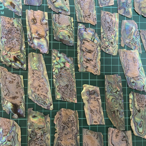 アワビ貝殻 白蝶貝殻 パールシェル 螺鈿 ルアー ネイルアート40g15枚