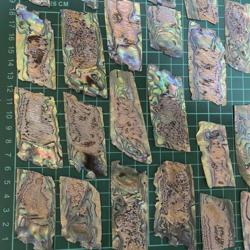 アワビ貝殻 白蝶貝殻 パールシェル 螺鈿 ルアー ネイルアート40g15枚