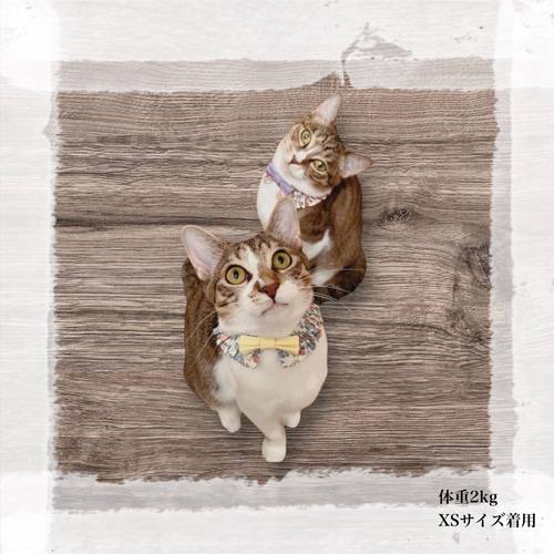 再販〉 猫 犬 首輪 フリルスタイ リバティプリント × Betsy