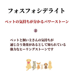 亡くなったペットを近くに感じられる / フォスフォシデライトのお守り 3枚目の画像