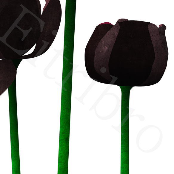 アートポスター/  Tulip : black　おしゃれインテリア・北欧、モノトーン好きの方に☆ 4枚目の画像