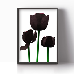 アートポスター/  Tulip : black　おしゃれインテリア・北欧、モノトーン好きの方に☆ 8枚目の画像