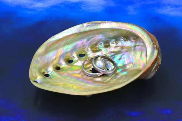 珍珠貝殼戒指托盤 - awabi - 第3張的照片