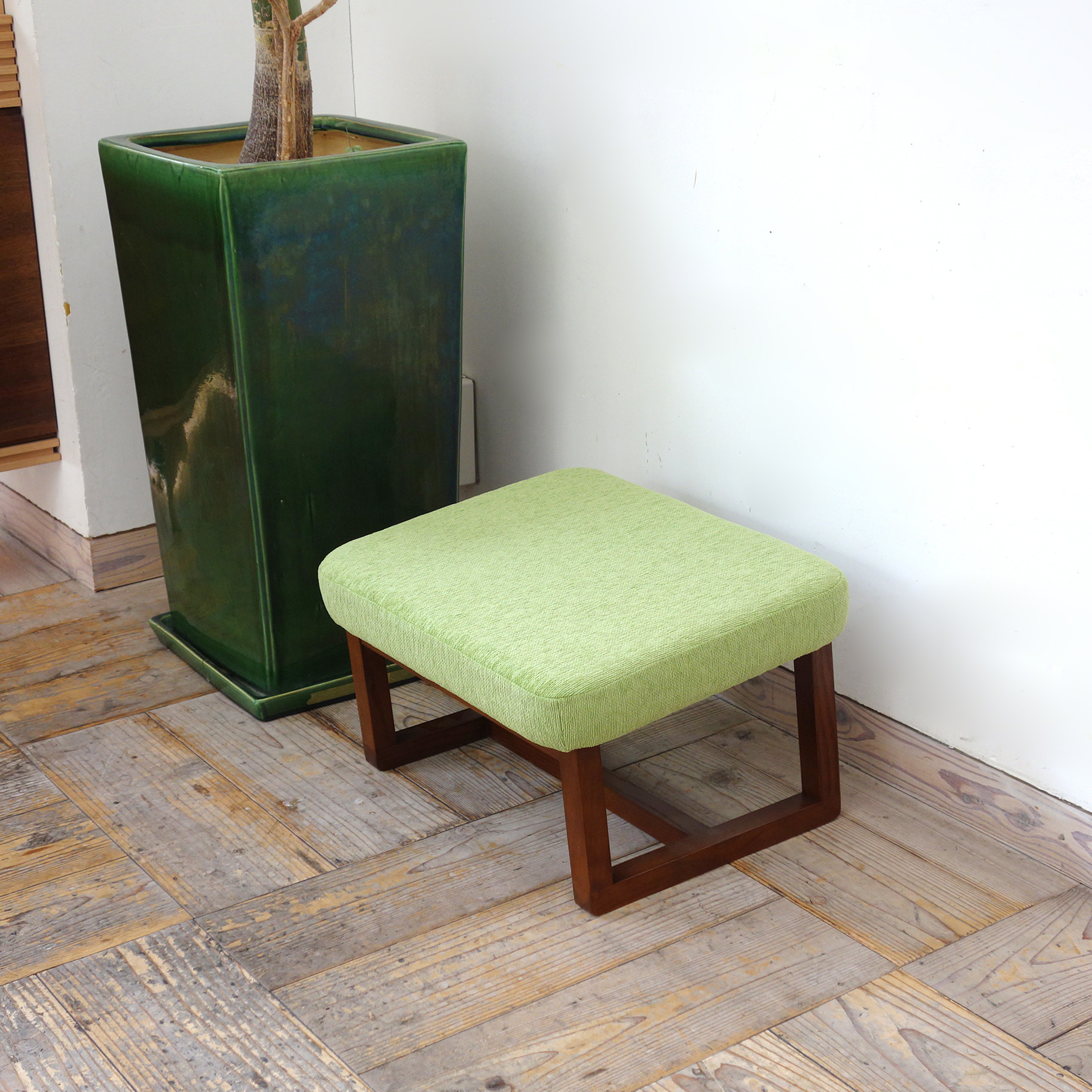 コ助オットマン(BR×ANイエローグリーン)