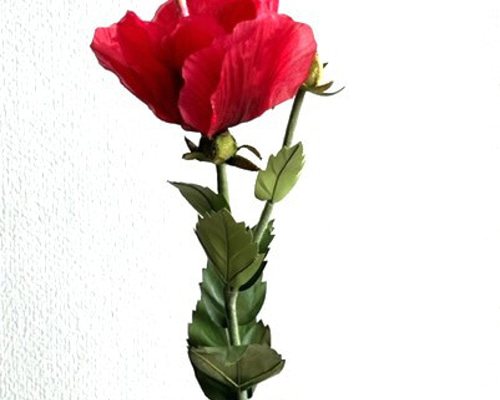 7bfb4d69b6dc5adb8bcc27cdefa80e