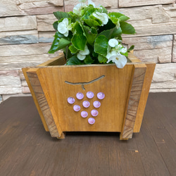 ホルツトレー ウッド コンテナボックス プランター ラック 多肉トレー