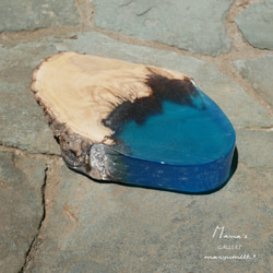 木の雫シリーズ　aqua 9枚目の画像
