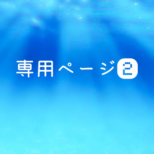 専用ページ② 1枚目の画像