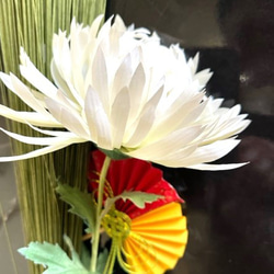 d7691839407fa482a30b8b07cdc429