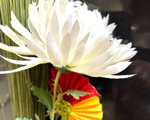 d7691839407fa482a30b8b07cdc429