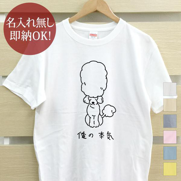 【全国送料無料】俺の本気 トイプードル 犬 レディース メンズ Tシャツ おもしろTシャツ 綿100% 選べるカラー7色 1枚目の画像